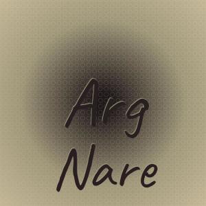 ดาวน์โหลดและฟังเพลง Arg Nare พร้อมเนื้อเพลงจาก Pocky Winky