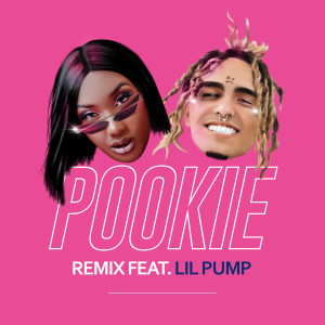 收聽Aya Nakamura的Pookie (feat. Lil Pump) (Remix)歌詞歌曲