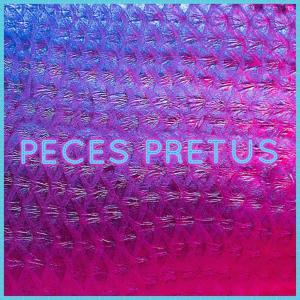Listen to Mi Camino (feat. Natty) song with lyrics from Peces Pretus