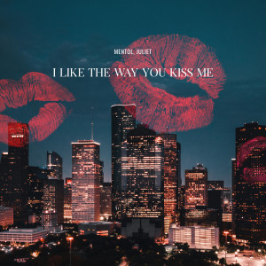 i like the way you kiss me (Remix)