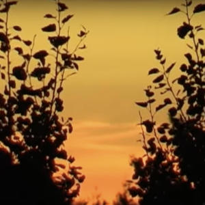 收聽Meller To The Bone的Ruhrpott Sunset (feat. Michael Nightmare & Flocke 84) (Explicit)歌詞歌曲