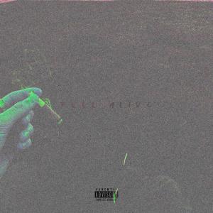 อัลบัม FEEL ALIVE (Explicit) ศิลปิน 2Geeked