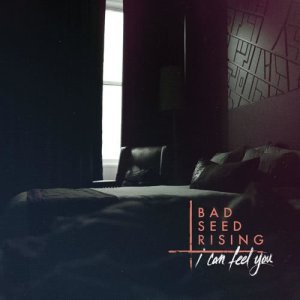 อัลบัม I Can Feel You ศิลปิน Bad Seed Rising