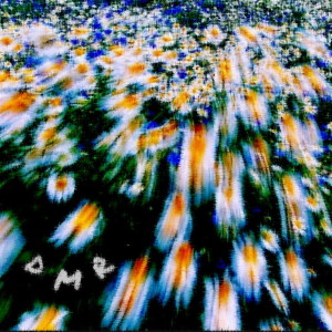 Album DMR 1 from Various