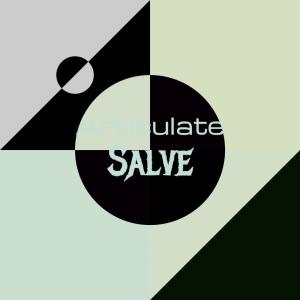 Album Articulate Salve from Various