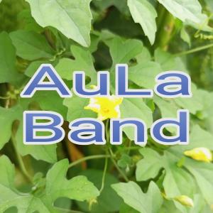 Listen to Dag Dig Dug Ku Jatuh Cinta song with lyrics from Aula Band