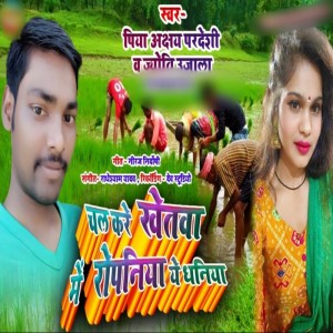收聽Piya Akshay Pardeshi的Chal Kare Khetwa Me Ropaniya Ye Dhaniya歌詞歌曲