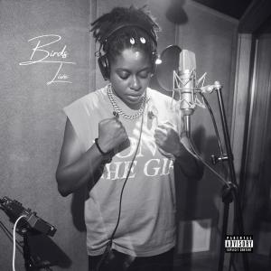 ดาวน์โหลดและฟังเพลง Birds (Live|Explicit) พร้อมเนื้อเพลงจาก Daisha McBride