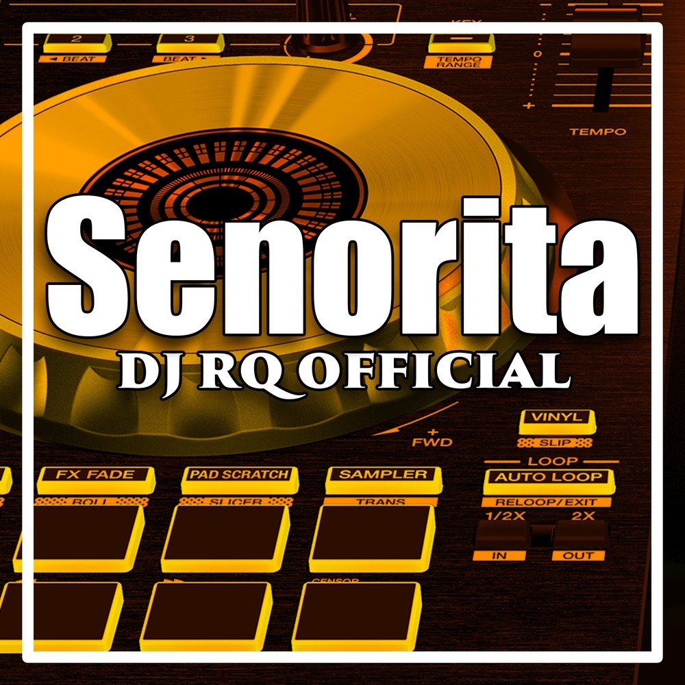 Senorita (Remix)