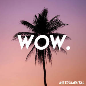 ดาวน์โหลดและฟังเพลง Wow. (Instrumental) พร้อมเนื้อเพลงจาก Vibe2Vibe