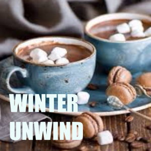 Album Winter Unwind from Various