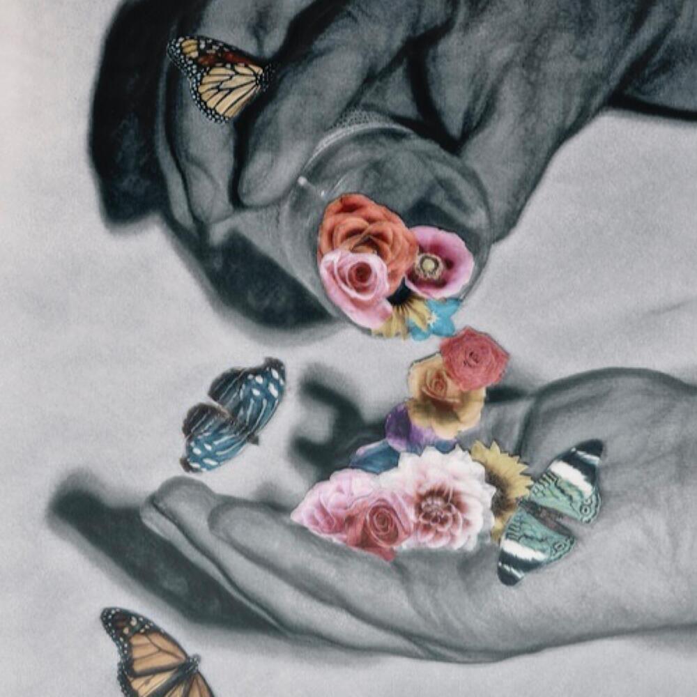 Flowers, *** & Butterflies (Explicit)