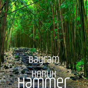 Bayram Karlık的專輯Hammer (Explicit)