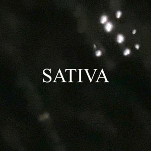 อัลบัม Sativa ศิลปิน C2