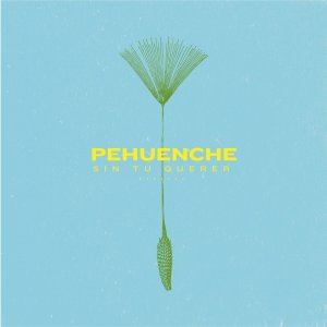 Listen to Sin Tu Querer song with lyrics from Pehuenche