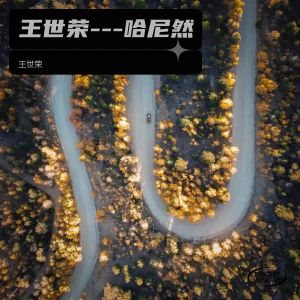 Listen to 哈尼然 (完整版) song with lyrics from 王世荣