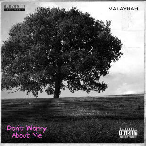 收聽Malaynah的Don't Worry About ME (Explicit)歌詞歌曲