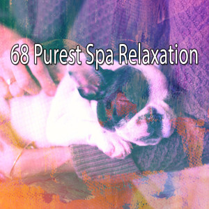 68 Purest Spa Relaxation