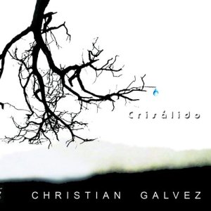 收聽Christian Galvez的Invisible歌詞歌曲