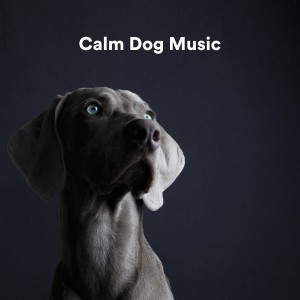 Relaxmydog的专辑Calm Dog Music