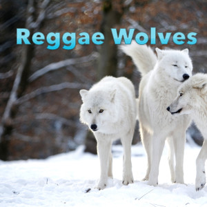 Reggae Wolves dari Various