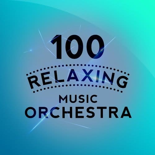 Brandenburg Concerto No. 5 in D Major, BWV 1050: II. Affettuoso