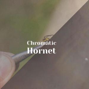 Chromatic Hornet dari Various