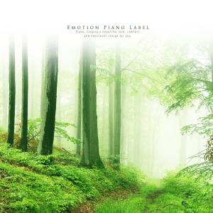 Album Comfortable meditation time to fill happiness (meditation piano) from 