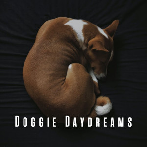 Ambient Jazz Lounge的專輯Doggie Daydreams: Coffee Shop Jazz Sessions
