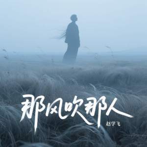 Listen to 那风吹那人 (伴奏) song with lyrics from 赵学飞