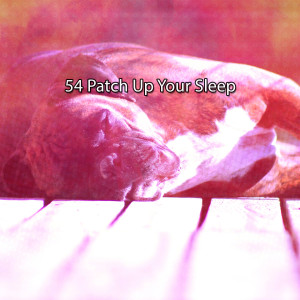 54 Patch Up Your Sleep