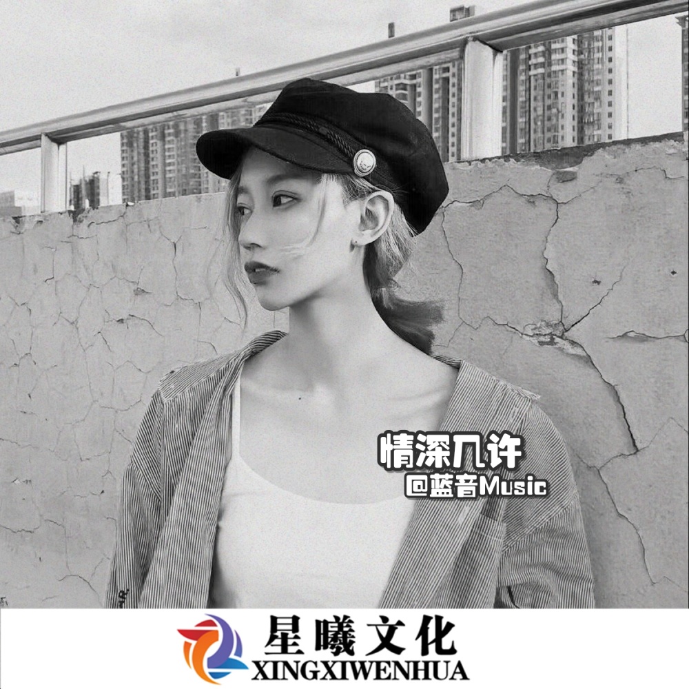 上头旋律 (DJ版)