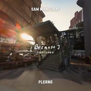 ดาวน์โหลดและฟังเพลง Because พร้อมเนื้อเพลงจาก PLERNG