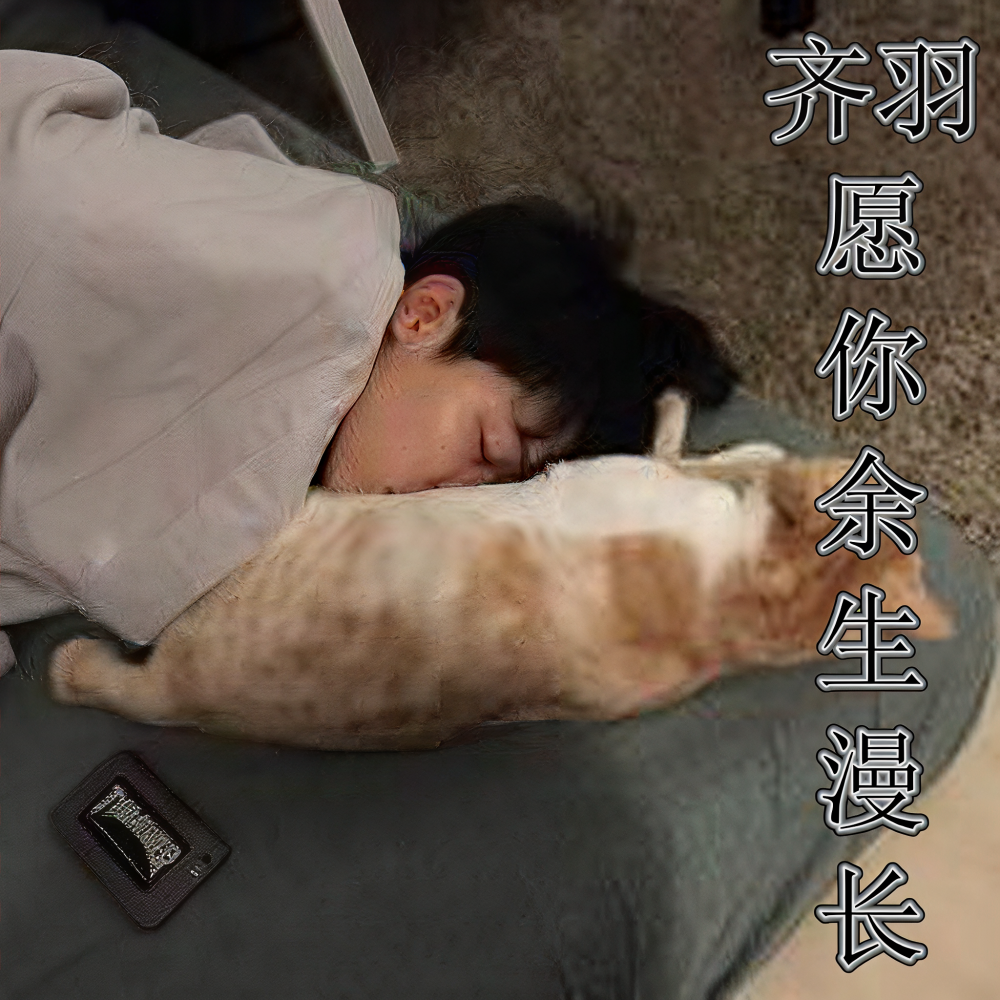 我只会喜欢你