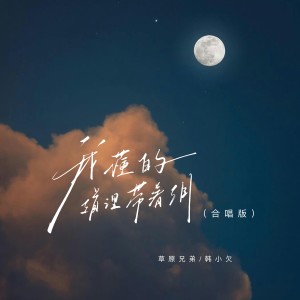 Album 我懂的道理带着泪（合唱版） from 草原兄弟