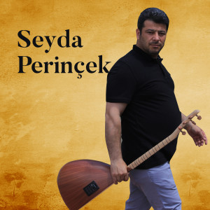 收聽Seyda Perinçek的Avaşin (Erdalê Pirsûsî)歌詞歌曲
