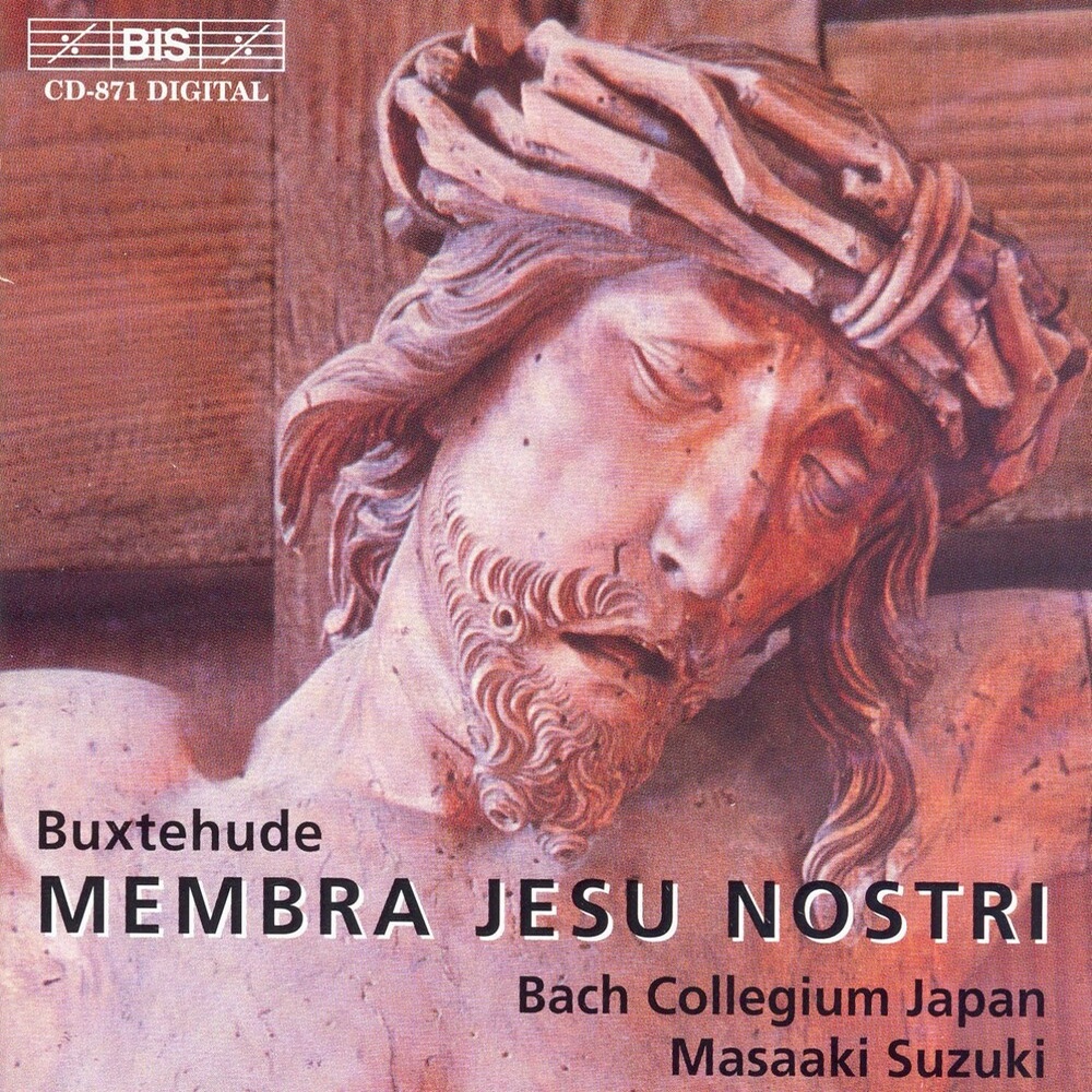 Membra Jesu nostri, BuxWV 75: Aria: Ave, verum templum Dei (Bass)