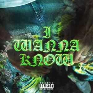 Album I Wanna Know (Explicit) oleh Trip J