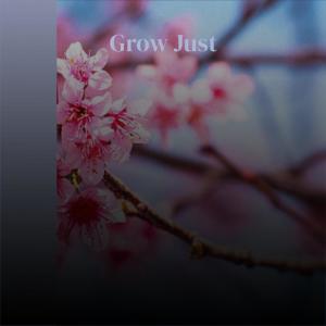 Album Grow Just from Various