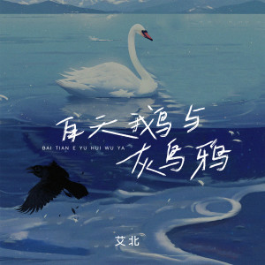 收聽艾北的白天鵝與灰烏鴉 (女版)歌詞歌曲