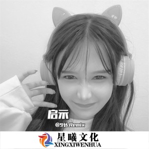 Listen to 启示 (DJ版) song with lyrics from 9爷