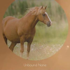 Listen to Jitney Downwards song with lyrics from Lolet