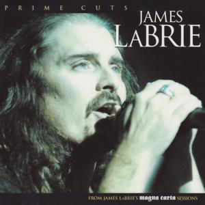 ดาวน์โหลดและฟังเพลง Vertebrates พร้อมเนื้อเพลงจาก James Labrie