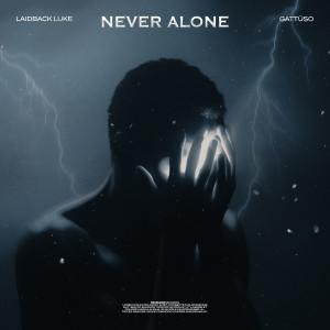 Laidback Luke的专辑Never Alone