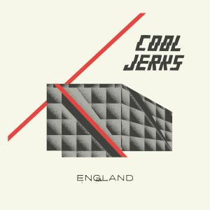 Listen to Tigers and Birds song with lyrics from Cool Jerks
