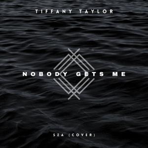 Tiffany Taylor的專輯Nobody Gets Me