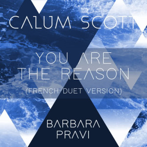 ดาวน์โหลดและฟังเพลง You Are The Reason (French Duet Version) พร้อมเนื้อเพลงจาก Calum Scott