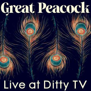 收聽Great Peacock的Hideaway (Live)歌詞歌曲