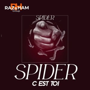 Dengarkan lagu C'est toi nyanyian Spider dengan lirik