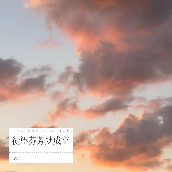 徒望芬芳梦成空 (伴奏)